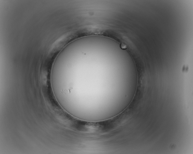 X0000113540693200909181024