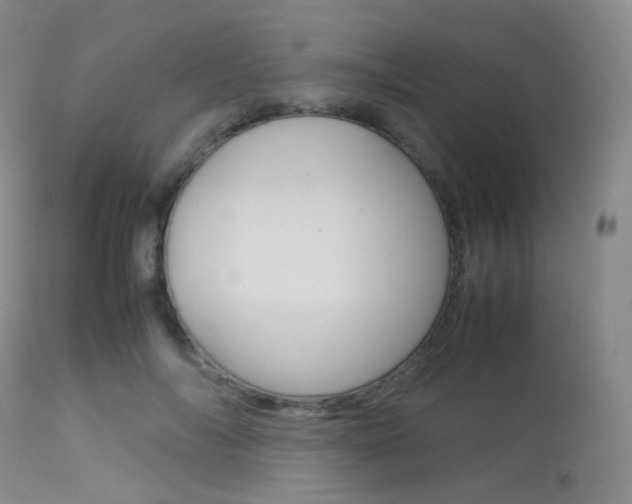 X0000113540694200909181024