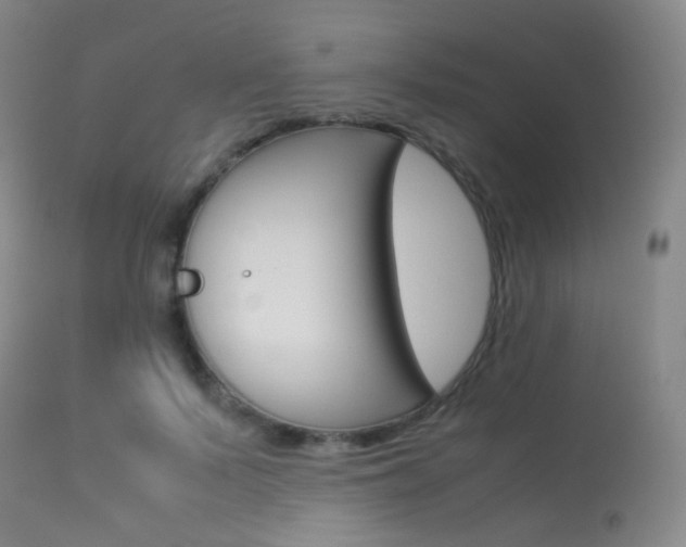 X0000113540695200909181024