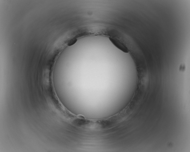 X0000113540696200909181024