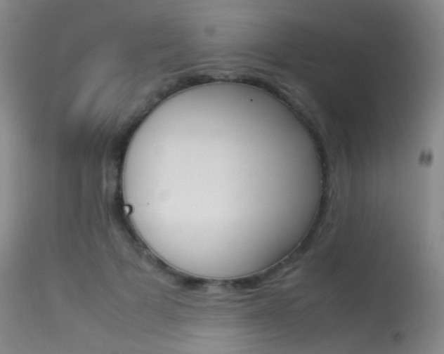 X0000113540697200909181024