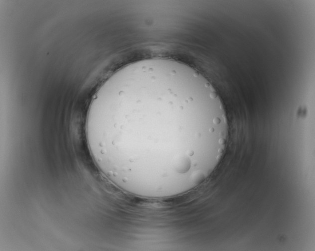 X0000113540698200909181024