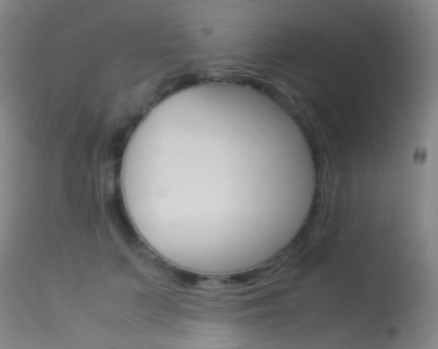 X0000113540703200909181024