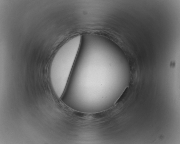 X0000113540704200909181024