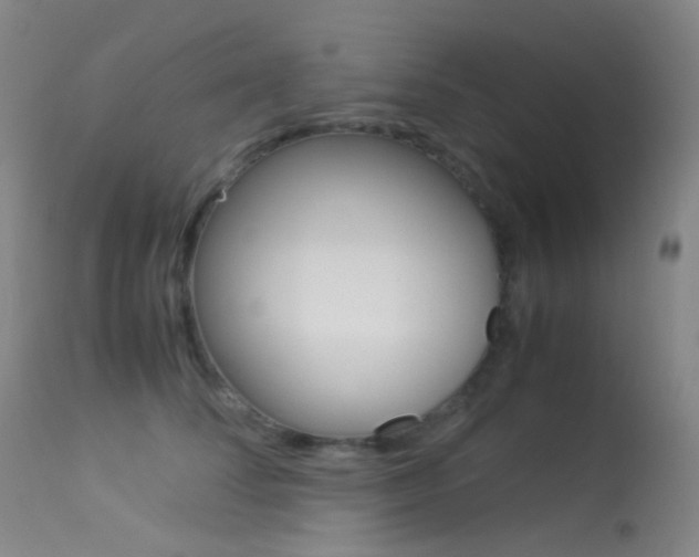 X0000113540708200909181024