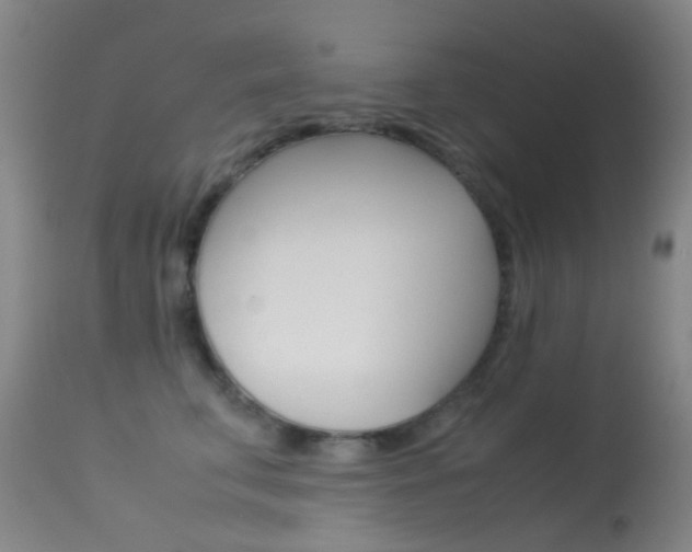 X0000113540711200909181024