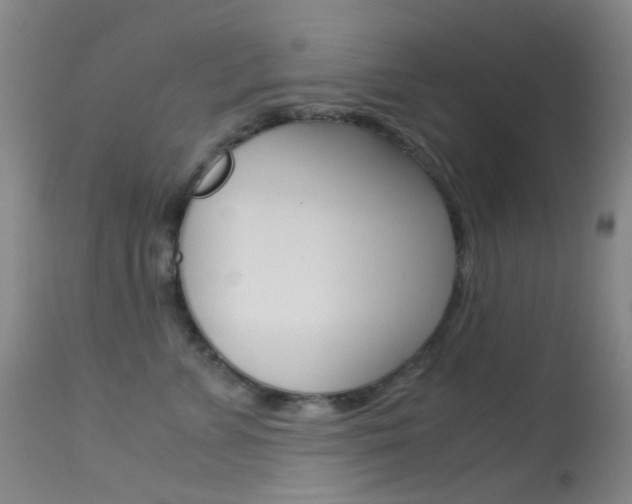 X0000113540715200909181024