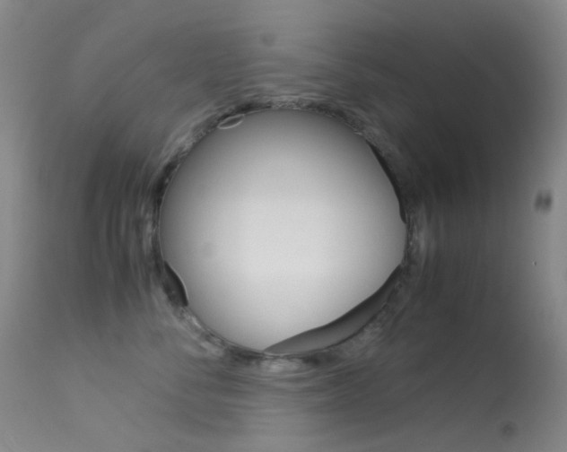X0000113540716200909181024