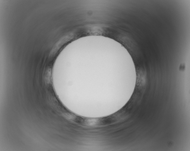 X0000113540717200909181024
