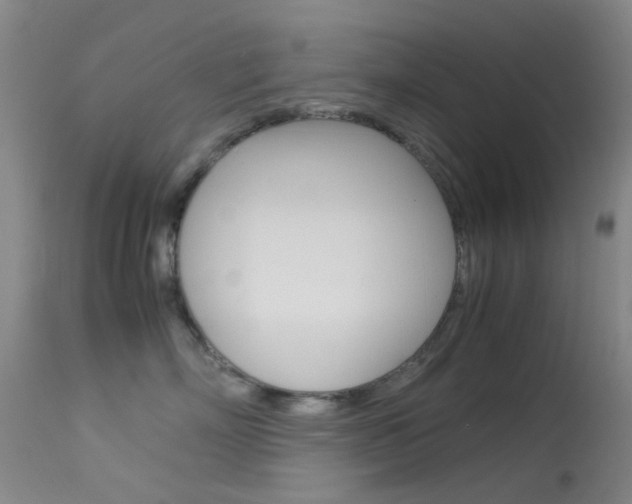 X0000113540718200909181024