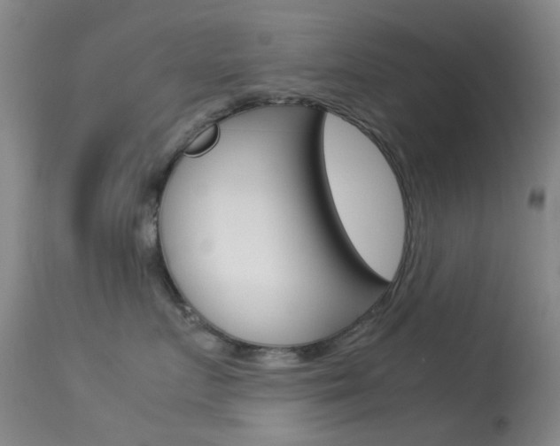 X0000113540719200909181024