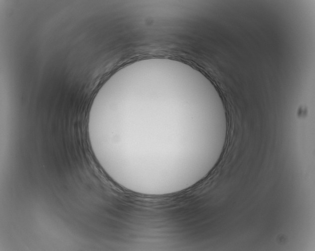 X0000113540720200909181024