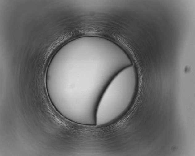 X0000113540721200909181023