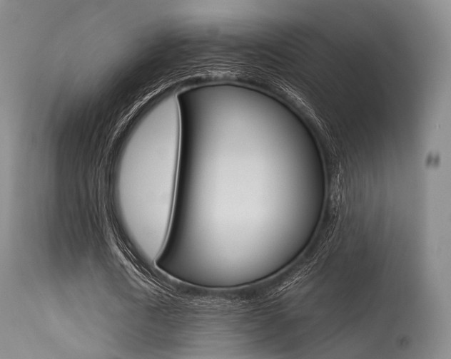 X0000113540722200909181023