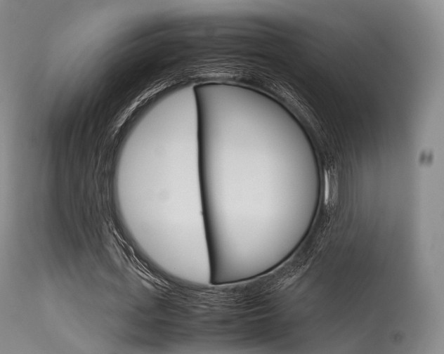 X0000113540723200909181023