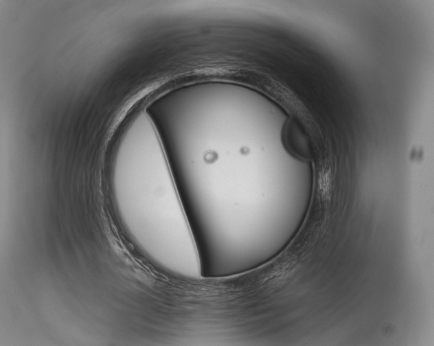 X0000113540724200909181023