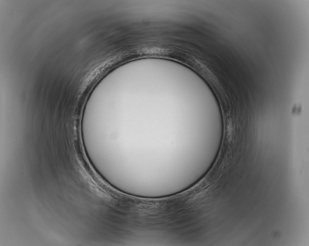 X0000113540725200909181023
