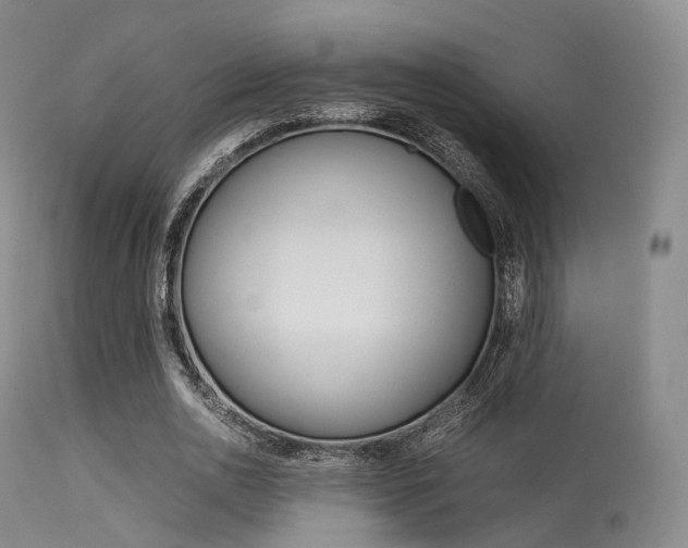 X0000113540726200909181023