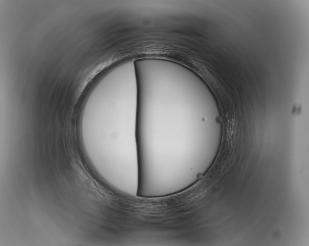 X0000113540727200909181023