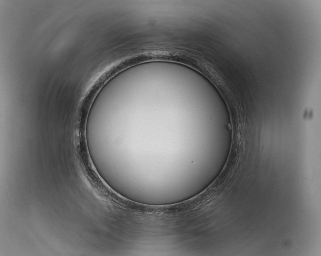 X0000113540728200909181023