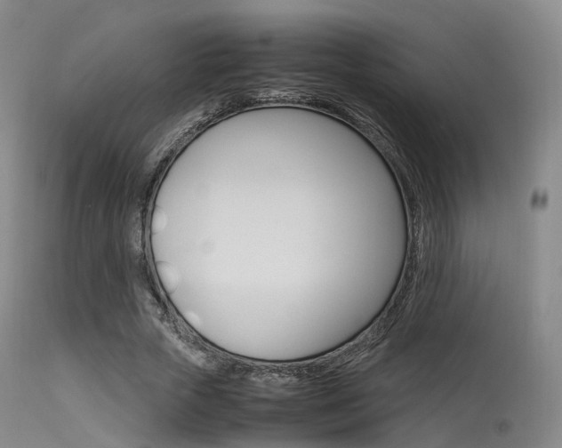 X0000113540729200909181023