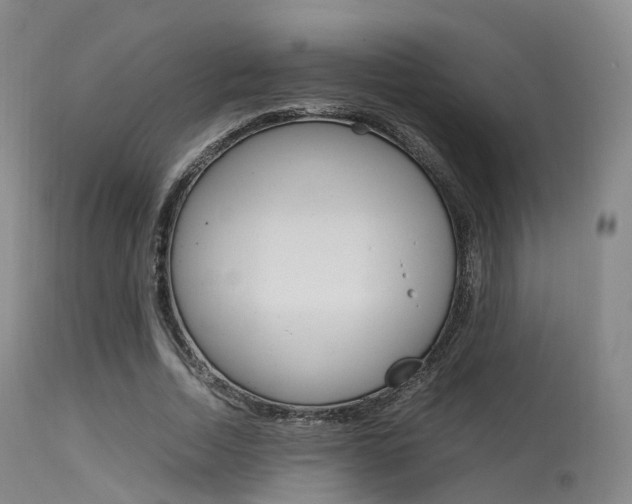 X0000113540730200909181023