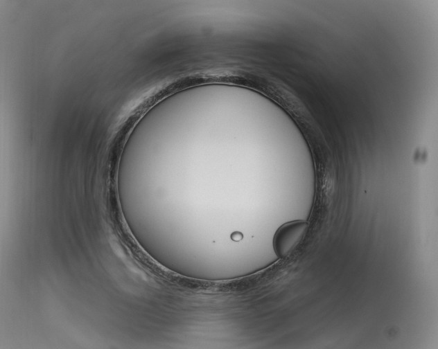 X0000113540732200909181023