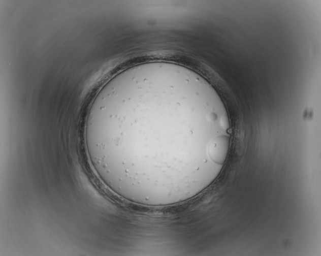 X0000113540734200909181023