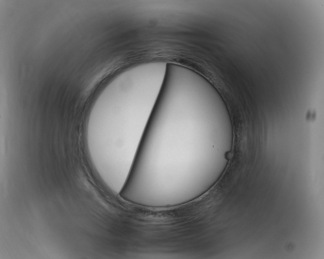 X0000113540735200909181023