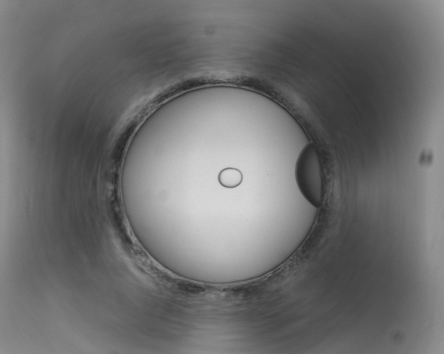 X0000113540736200909181023