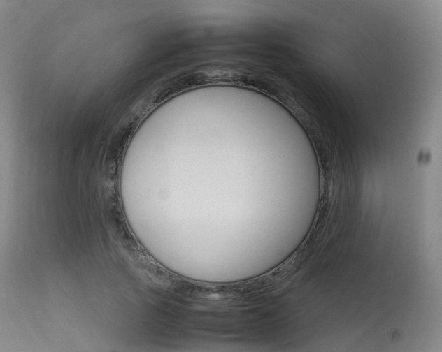 X0000113540737200909181023