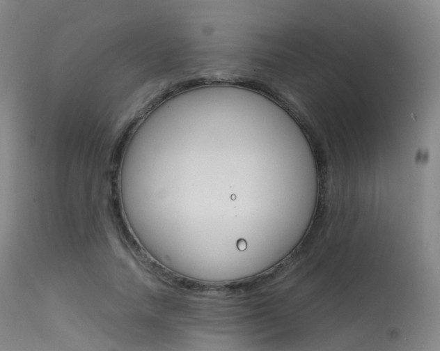 X0000113540738200909181023