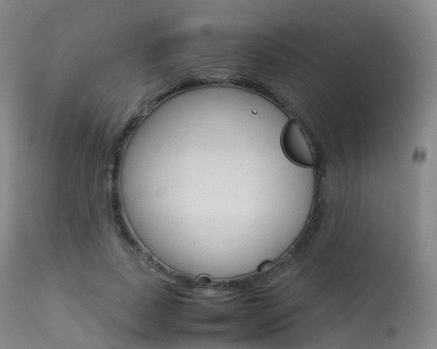 X0000113540739200909181023