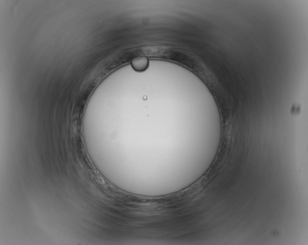 X0000113540741200909181023