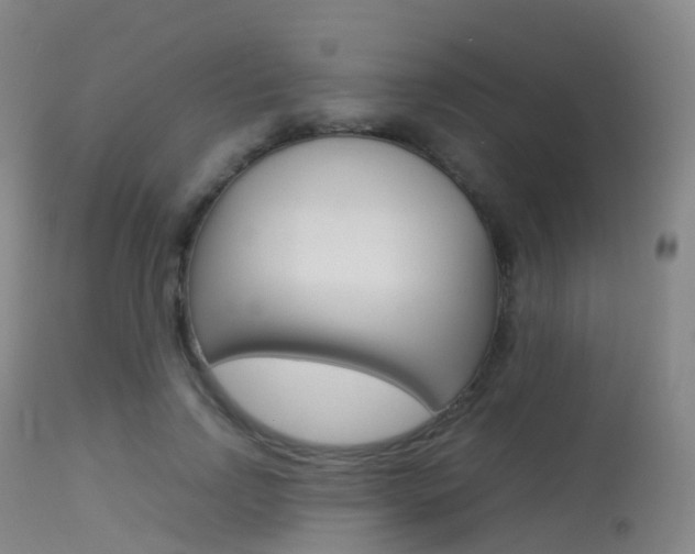 X0000113540742200909181023
