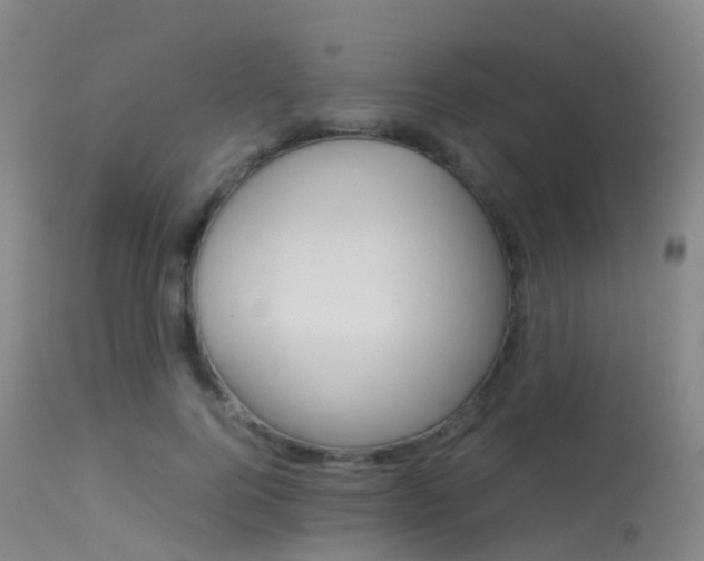 X0000113540744200909181023