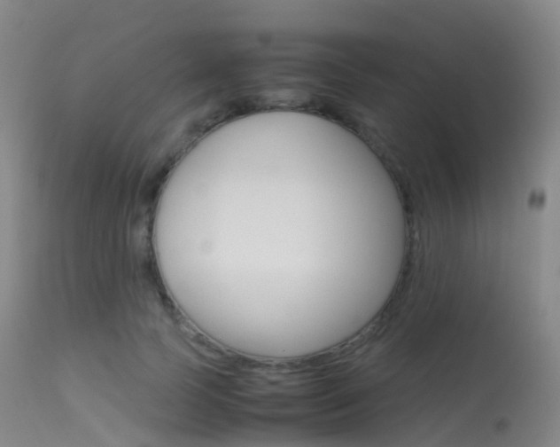 X0000113540745200909181023