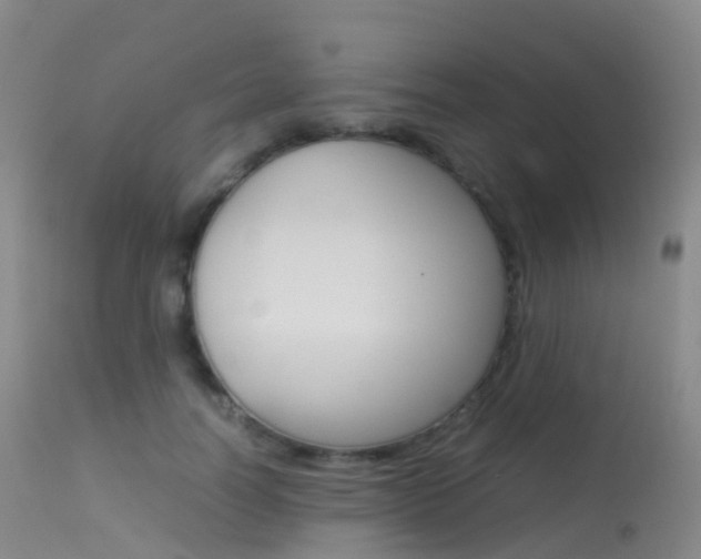 X0000113540746200909181023