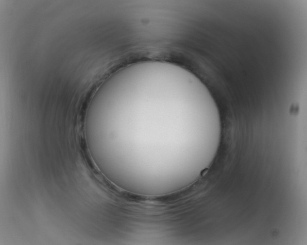 X0000113540748200909181023