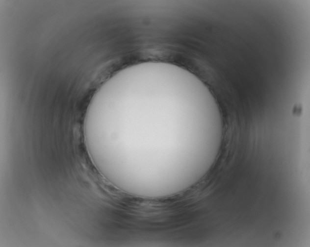 X0000113540749200909181023