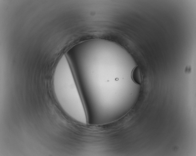 X0000113540750200909181023