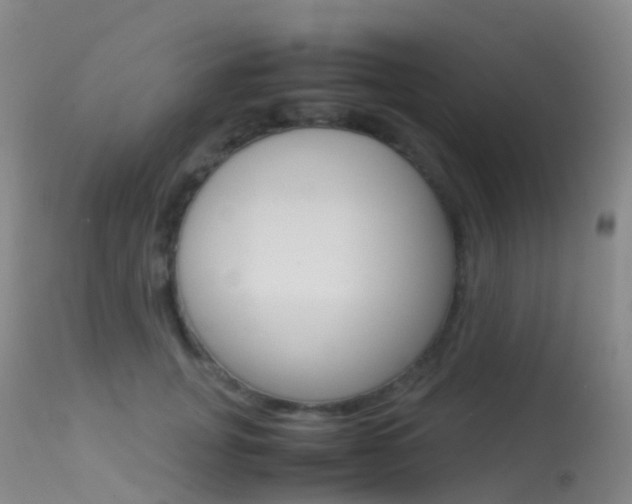 X0000113540751200909181023