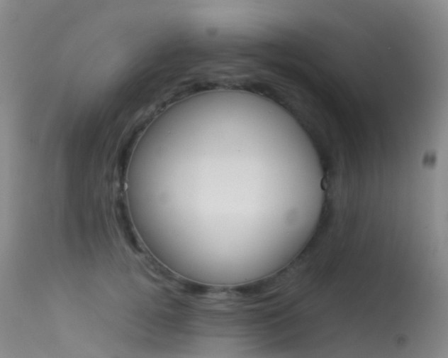 X0000113540752200909181023