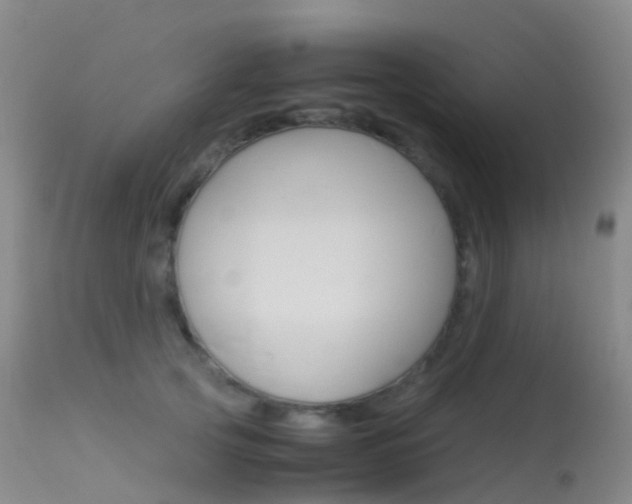 X0000113540753200909181023