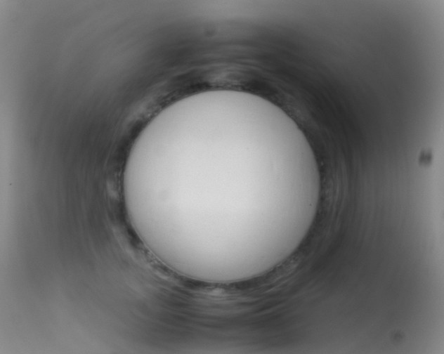 X0000113540755200909181023