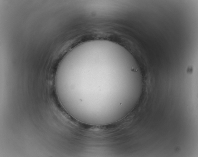 X0000113540756200909181023