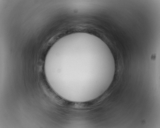 X0000113540758200909181023
