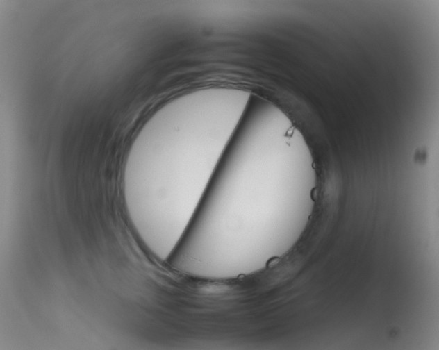 X0000113540759200909181023