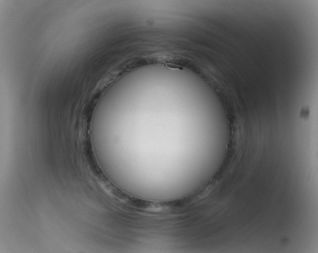 X0000113540760200909181023