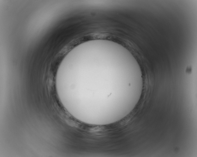 X0000113540761200909181023